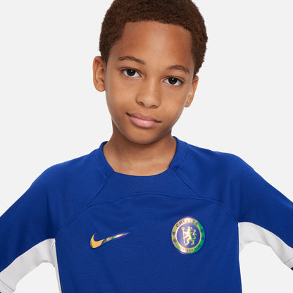 Chelsea FC 2023/24 Stadium Home Big Kids' Nike Dri-FIT Football Shirt